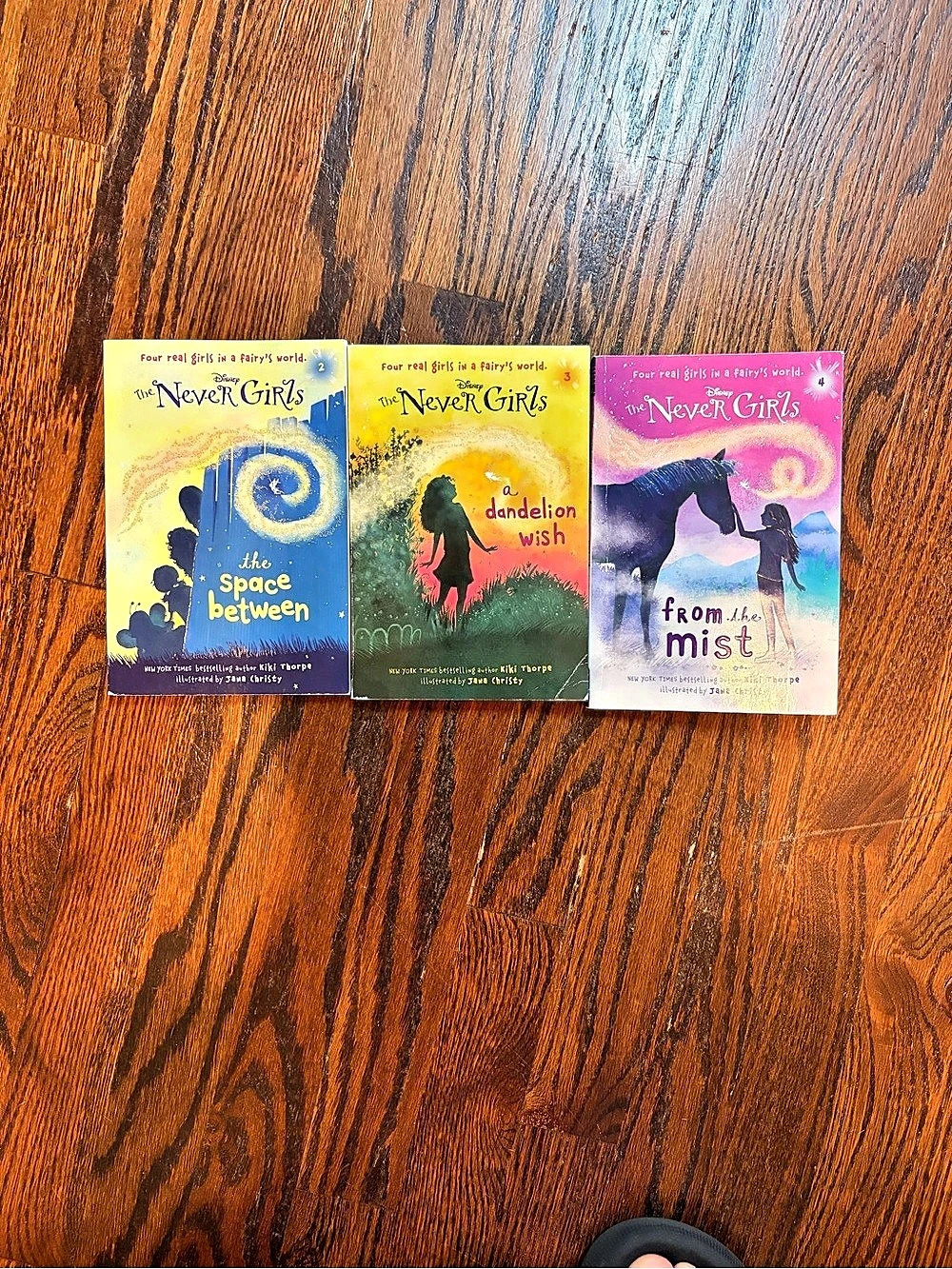 Disney The Never Girls book set 3-Book Set (2-4)